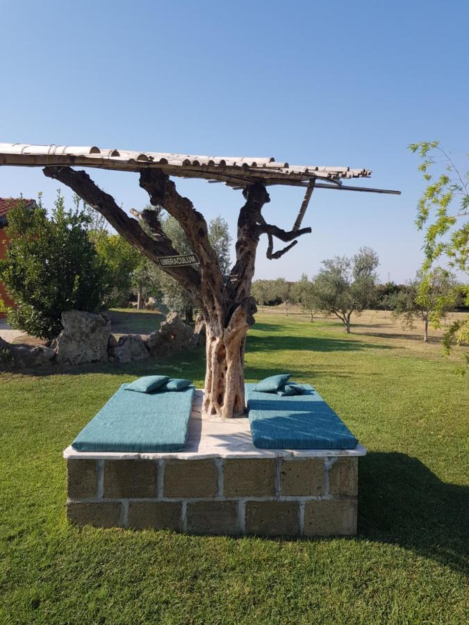 Casa Daniele Guest House Canino Eksteriør bilde